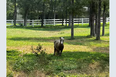 197 Colorado Drive, Cedar Creek, TX 78612 - Photo 4