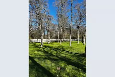 197 Colorado Drive, Cedar Creek, TX 78612 - Photo 10