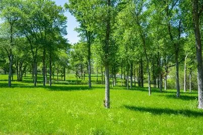 197 Colorado Drive, Cedar Creek, TX 78612 - Photo 6