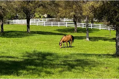 197 Colorado Drive, Cedar Creek, TX 78612 - Photo 8