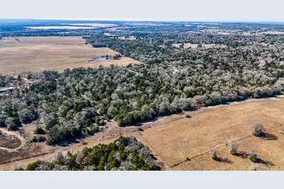 521 Paint Creek South Road, Paige, TX 78659 - Photo 8