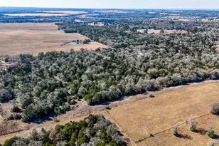 521 Paint Creek S Rd, Paige, TX 78659 - Photo 8