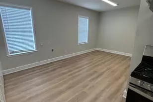 205 E Hoopes Ave, Pflugerville, TX 78660 - Photo 10