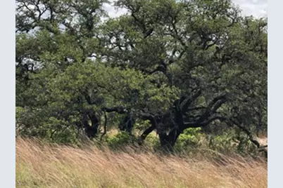 207 Verbena Court, Johnson City, TX 78636 - Photo 2