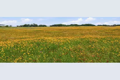 1360 US Highway 84 Highway W, Mullin, TX 76864 - Photo 40