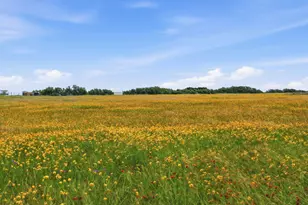1360 US Hwy 84 Hwy W, Mullin, TX 76864 - Photo 40