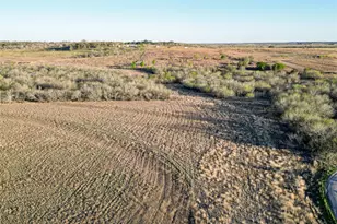 495 Black Ankle Rd, Lockhart, TX 78644 - Photo 1