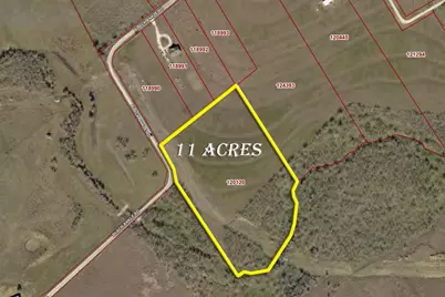 495 Black Ankle Road, Lockhart, TX 78644 - Photo 6