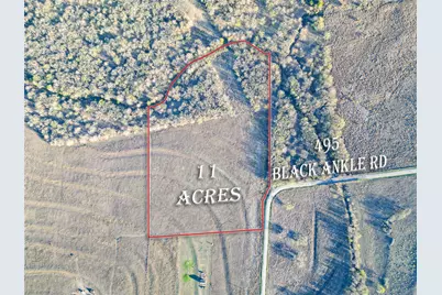 495 Black Ankle Road, Lockhart, TX 78644 - Photo 4
