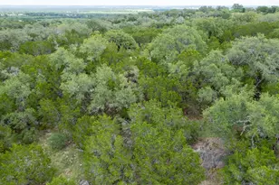 Hb Lot K10033 Mountain Dew, Horseshoe Bay, TX 78657 - Photo 10
