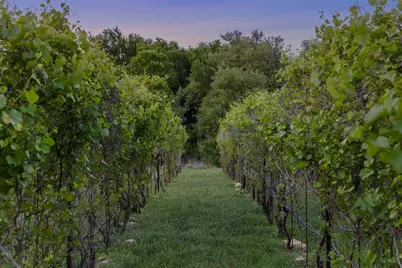 18059 Fm 1826 Road, Driftwood, TX 78619 - Photo 12