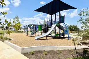 247 Grayson Elm Pass, Dripping Springs, TX 78620 - Photo 34