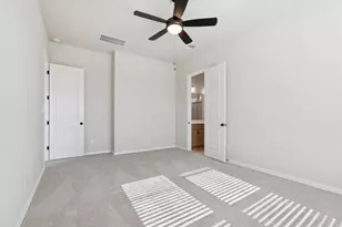 247 Grayson Elm Pass, Dripping Springs, TX 78620 - Photo 10