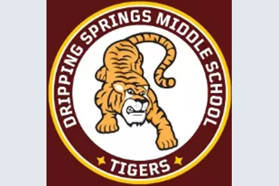 247 Grayson Elm Pass, Dripping Springs, TX 78620 - Photo 38