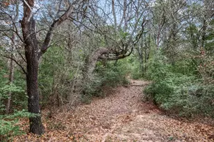 153 Old Wingo Pl, McDade, TX 78650 - Photo 24