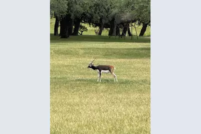 Lot 97 Big Sky Court, Blanco, TX 78606 - Photo 16