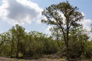 199 Brinley Mae Wy, Lockhart, TX 78644 - Photo 1