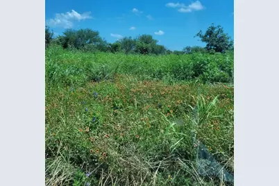 0 Emil Blank Road, Yoakum, TX 77995 - Photo 8