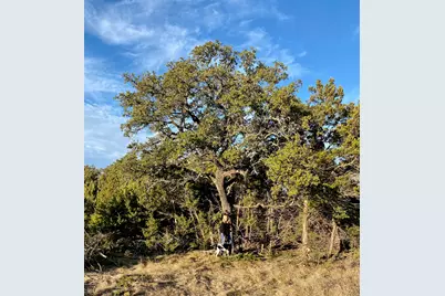 Lot 94 E. Dripping View Court, Blanco, TX 78606 - Photo 4