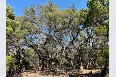 Lot 94 E. Dripping View Court, Blanco, TX 78606 - Photo 6