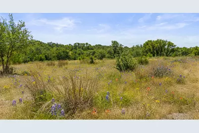 207 Verbena Road, Johnson City, TX 78636 - Photo 4
