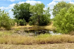 441 Molasses Rd, Dale, TX 78616 - Photo 32