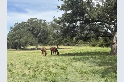 1434 Antioch Road, Paige, TX 78659 - Photo 10
