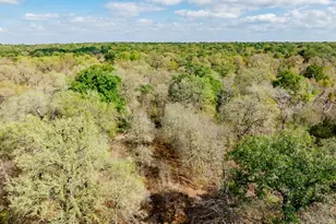 164 Bull Run Rd, Cedar Creek, TX 78612 - Photo 36