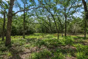138 Wood Hollow Ct, Bastrop, TX 78602 - Photo 36