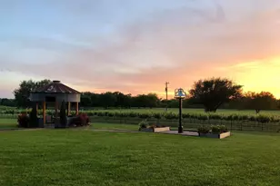 412 Copperleaf Cv, Marble Falls, TX 78654 - Photo 28