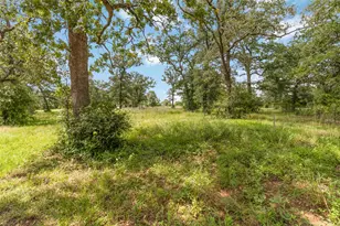 1208 Jeddo Rd, Rosanky, TX 78953 - Photo 40