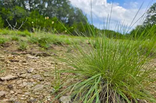 728 Cr 206, Lampasas, TX 76550 - Photo 14