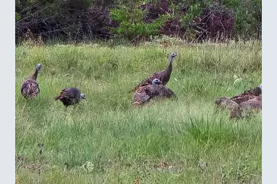 728 Cr 206, Lampasas, TX 76550 - Photo 6