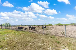 300 Co Rd 407, Spicewood, TX 78669 - Photo 30