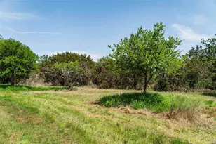 Tbd Tract 2 County Road 203, Burnet, TX 78611 - Photo 2