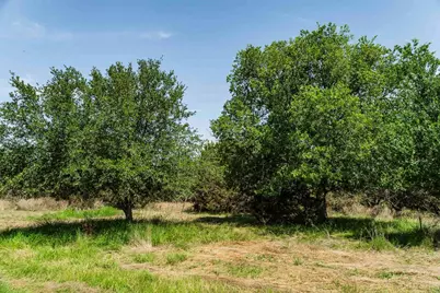 Tbd Tract 2 County Road 203, Burnet, TX 78611 - Photo 4