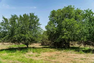 Tbd Tract 2 County Road 203, Burnet, TX 78611 - Photo 4