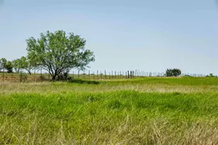 Tbd Tract 2 County Road 203, Burnet, TX 78611 - Photo 16