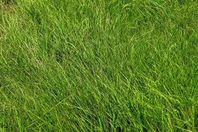 Tbd Tract 2 County Road 203, Burnet, TX 78611 - Photo 18