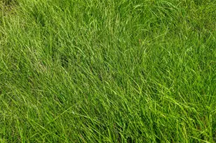 Tbd Tract 2 County Road 203, Burnet, TX 78611 - Photo 18