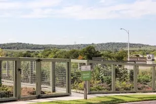 9616 Whispher Willow Blvd, Manor, TX 78653 - Photo 10