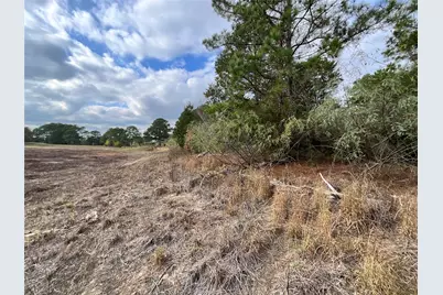 120 Shore Front Drive, Bastrop, TX 78602 - Photo 6