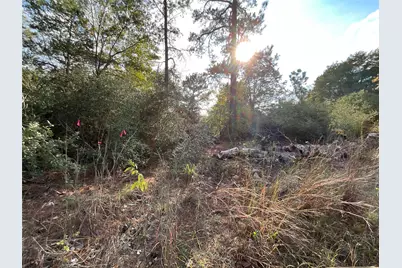 120 Shore Front Drive, Bastrop, TX 78602 - Photo 8