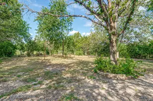 1035 Palomino Rd, Kyle, TX 78640 - Photo 12