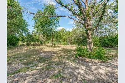 1035 Palomino Road, Kyle, TX 78640 - Photo 12