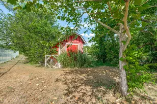 1035 Palomino Rd, Kyle, TX 78640 - Photo 8