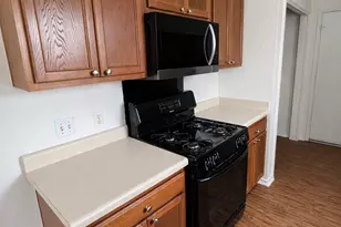 17741 Golden Valley Dr, Manor, TX 78653 - Photo 4