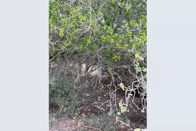 20905 Magellan Cove, Lago Vista, TX 78645 - Photo 8