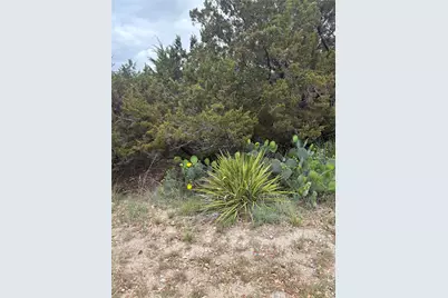 20905 Magellan Cove, Lago Vista, TX 78645 - Photo 2