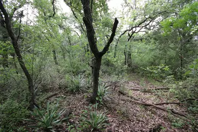 1900 County Road 156, Georgetown, TX 78628 - Photo 4